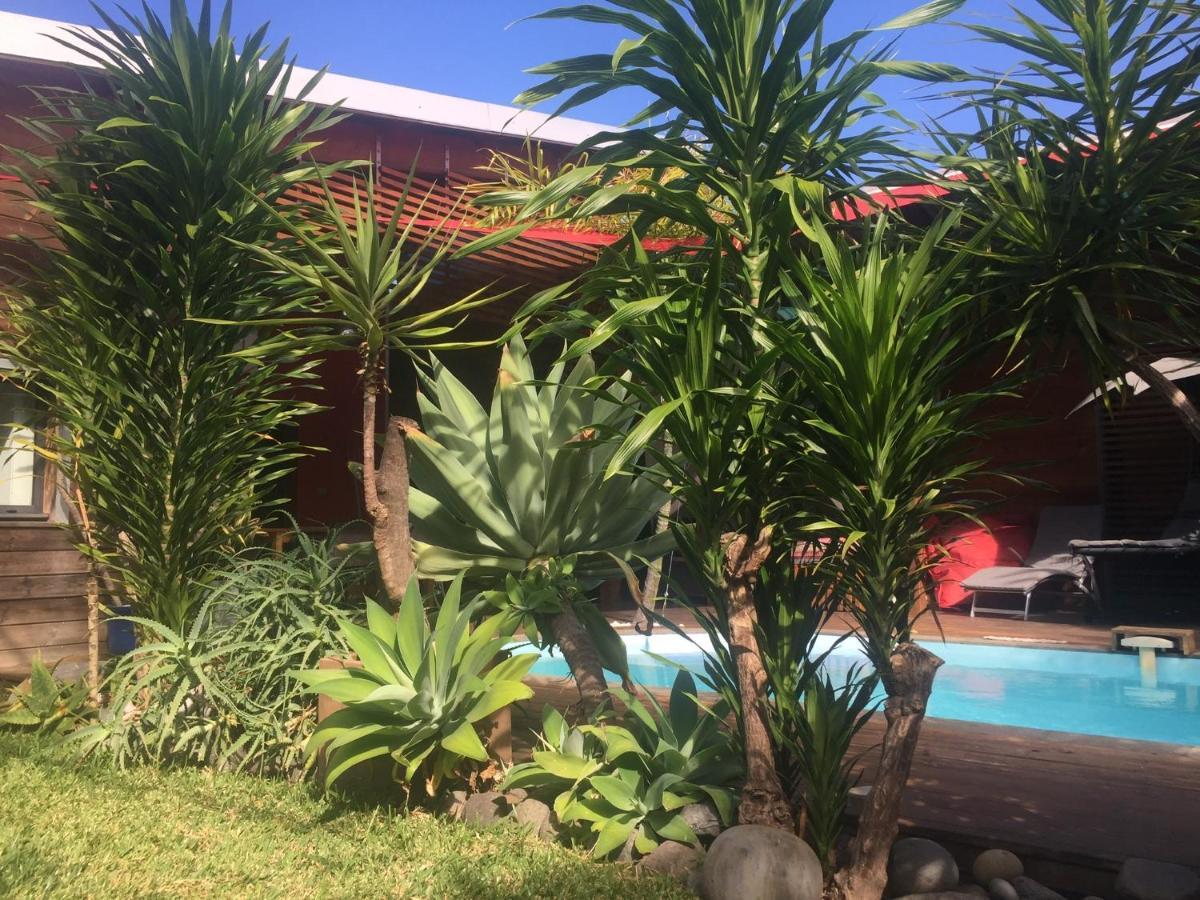 Ti Koin Trankil Belle & Spacieuse Villa Tropicale แซ็ง-ปีแยร์ ภายนอก รูปภาพ